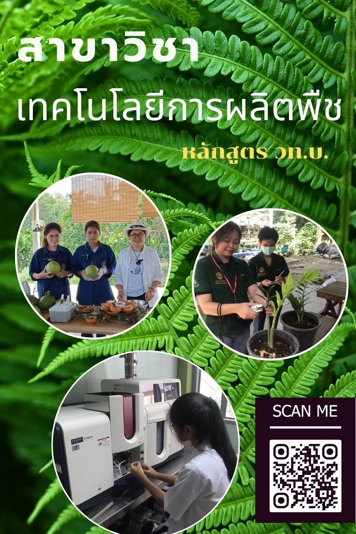 เทคโนโลยีการผลิตพืช